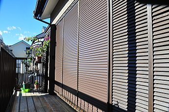 �G�R�A�}�h �S�̎ʐ^