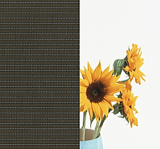 LIXIL �X�^�C���V�F�[�h �m�[�u���u���E��