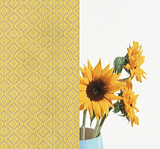 LIXIL �X�^�C���V�F�[�h �J�[���C�G���[