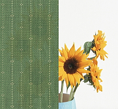 LIXIL �X�^�C���V�F�[�h �t�H���X�g�O���[��