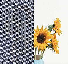 LIXIL �X�^�C���V�F�[�h �C���f�B�S�f�j��