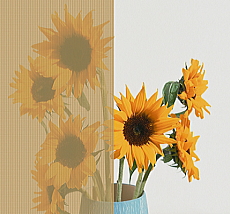 LIXIL �X�^�C���V�F�[�h �V�b�N�x�[�W��