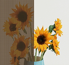 LIXIL �X�^�C���V�F�[�h �i�`�������u���E��